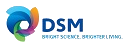 Programa de Estágio DSM 2020 é anunciado