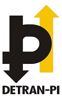 Detran - PI divulga que fica cancelada seleção para área de TI