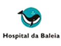 Hospital da Baleia divulga postos de trabalho em Belo Horizonte - MG