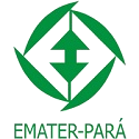 Processo Seletivo com mais de 100 vagas é aberto pela Emater - PA