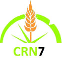 165 vagas destinadas ao Conselho Regional de Nutricionistas - CRN7