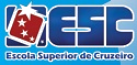 Escola Superior de Cruzeiro - SP abre vagas para Professor, Contador e Porteiro