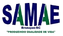 Samae retifica novo Processo Seletivo na unidade de Brusque - SC