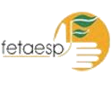 Fetaesp anuncia a seleção de profissionais em São Paulo
