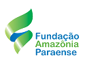 Fapespa - PA realiza um novo Processo Seletivo com 14 vagas