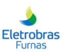 FURNAS Centrais Elétricas S.A. retifica resultado final e homologação do Edital