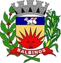 Prefeitura de Balbinos - SP abre 19 vagas em novo Concurso Público