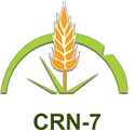 Concurso Público do CRN - 7ª Região tem inscrições prorrogadas