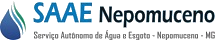 SAAE de Nepomuceno - MG divulga a retificação do Concurso Público