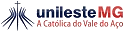 Unilest - MG está com processo seletivo para Professor de Administração