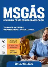 Técnico de Processos Organizacionais - TPO - Organizacional - MSGÁS
