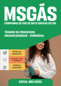Técnico de Processos Organizacionais - TPT - Comercial - MSGÁS
